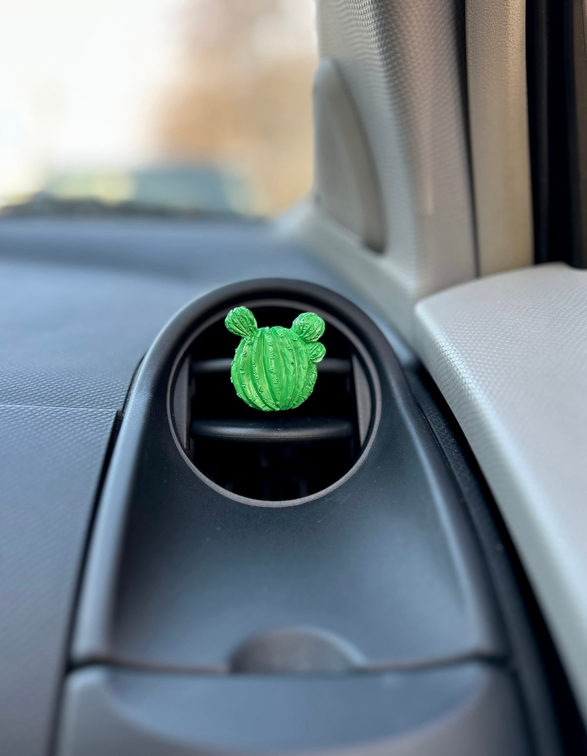 Automobilio aksesuaras „Kaktusas“