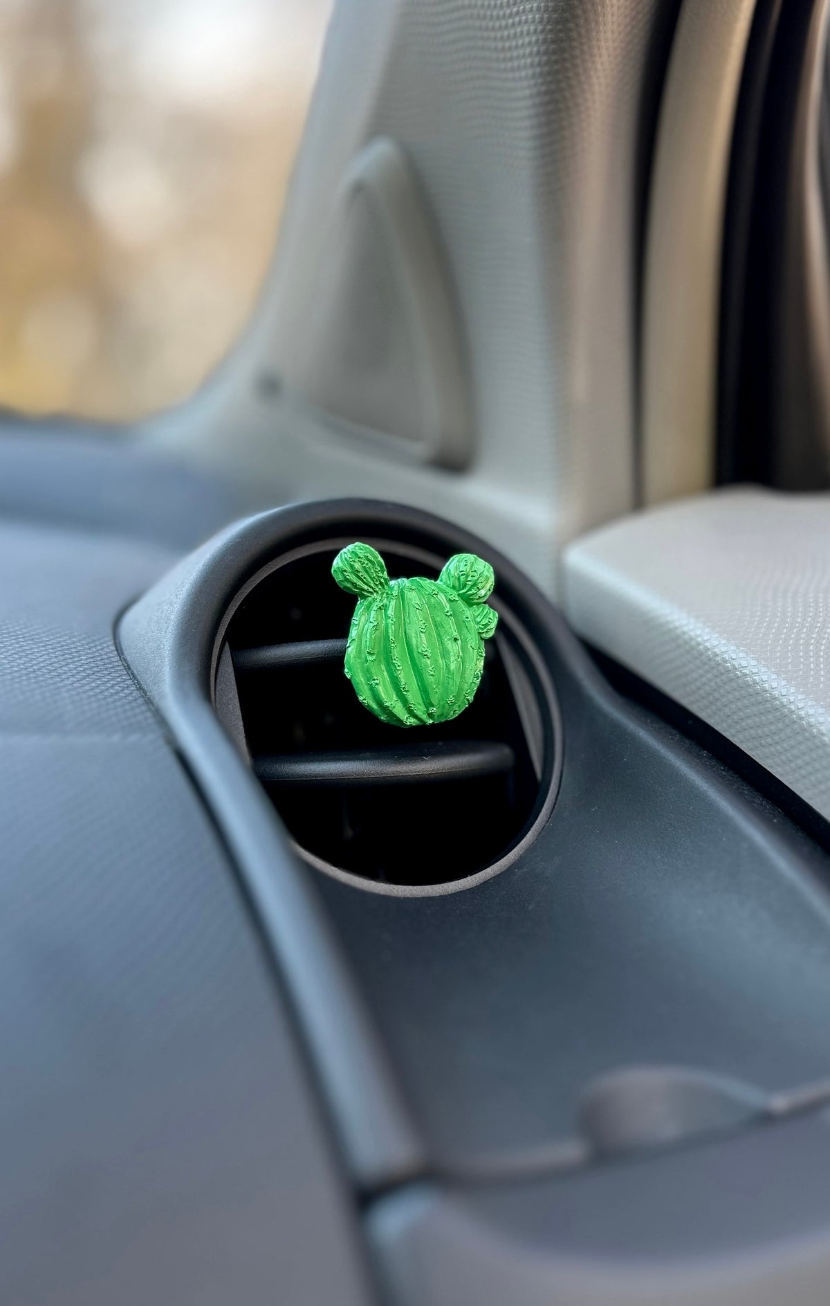 Automobilio aksesuaras „Kaktusas“