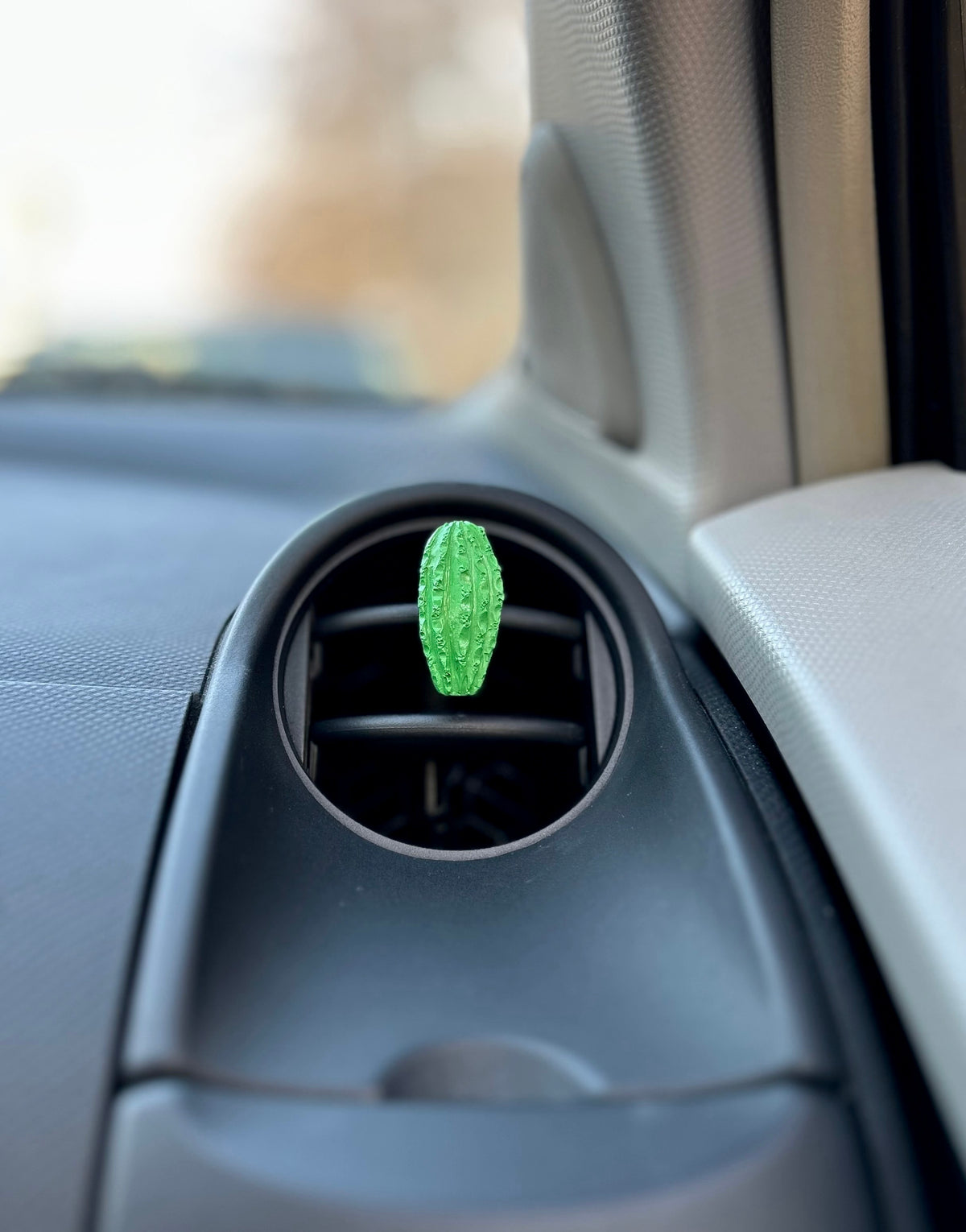Automobilio aksesuaras „Kaktusas“