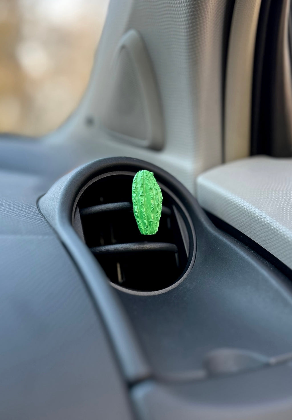 Automobilio aksesuaras „Kaktusas“