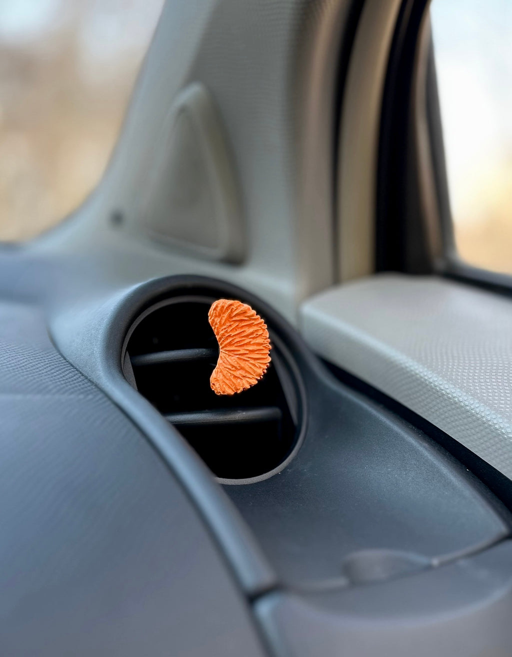 Automobilio aksesuaras „Mandarinas“