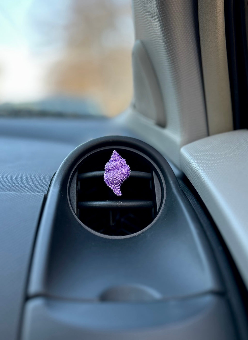 Automobilio aksesuaras „Kriauklytė“