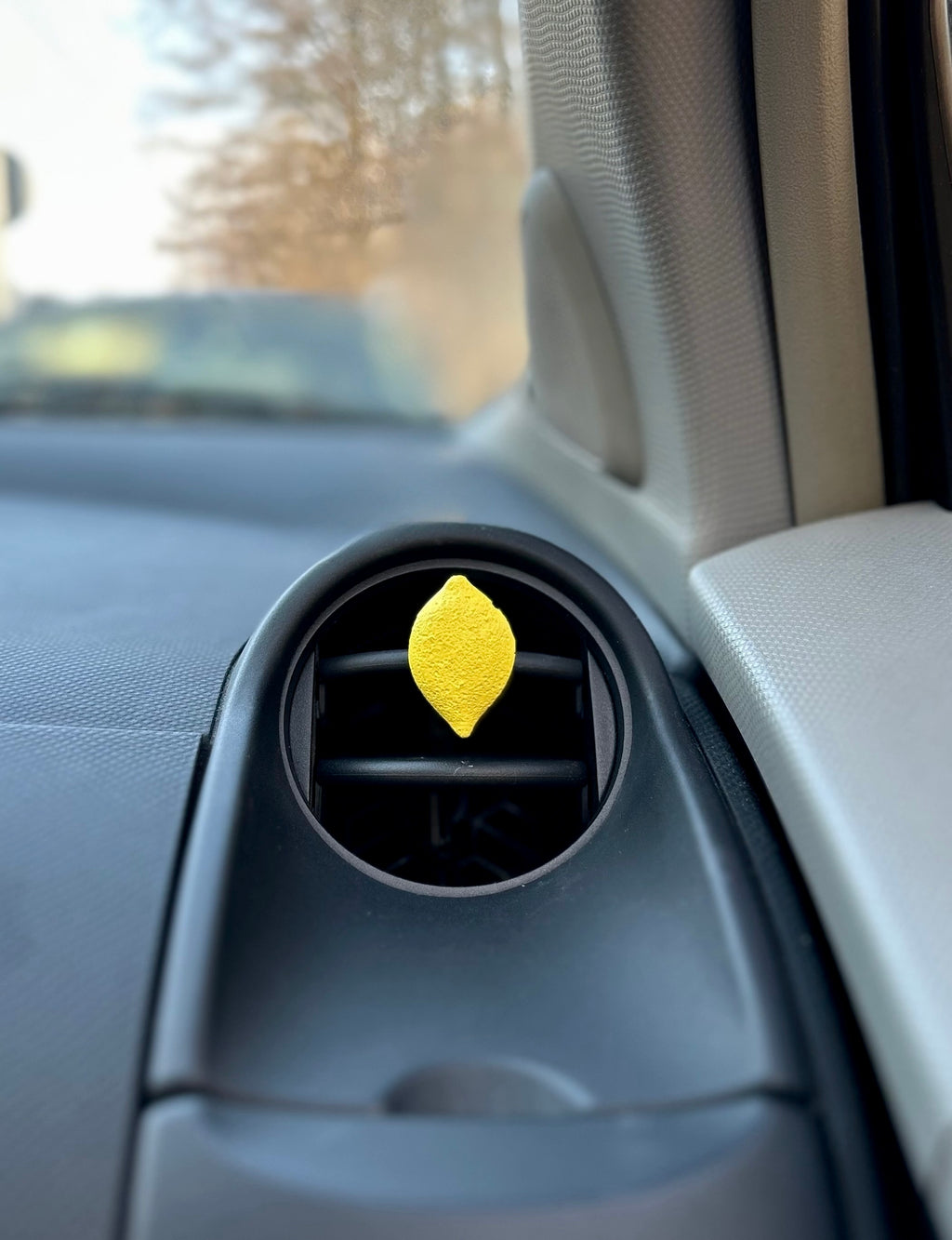 Automobilio aksesuaras „Citrina“